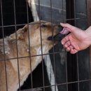 수만농장 이미지