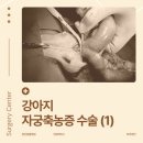 수색동물병원 이미지