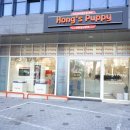 대구강아지분양 퍼피얌 | 상주시강아지무료분양 찾는 분들 주목! [대구강아지분양 홍스퍼피] 리얼 후기