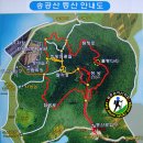 20241229 [신안 압해도 송공산 &amp; 1004섬 분재정원 애기동백 겨울꽃축제]-첫째 [GPX첨부] 이미지