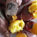 이일수농장 이미지