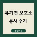 좋은하루 | 울산 유기견 보호소 봉사활동 후기, 기분 좋은 하루