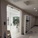 필라테스&요가 | 대전 도안동 요가 필라테스 추천 : '스텔라 요가' 후기