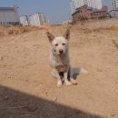 공간 -모정 이미지