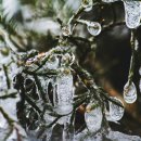 청천한의원 이미지