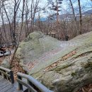 관악산 무장애숲길 이미지