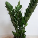 강촌내과의원 이미지