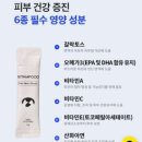 꼬마펫 | 포메 알로페시아 고민으로 다시 먹여본 스탬푸드 펫 스킨 파우더 내돈내산 후기