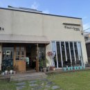 예그리나주택 | 동해시 비스플라워, 한 송이 꽃다발 미니 꽃다발