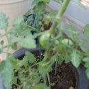 한열농장 이미지