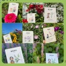 감정코칭심리상담사 이미지