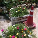 잉카모텔 이미지