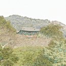 금성문