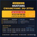 머스탱광양주짓수 네이버블로그
