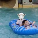 씨유 용인마성점 | 캐리비안 베이.11월에도 가기 좋아요^^