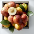 올여름엔 ‘인싸 과일’ 인기 이미지