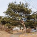 호암농장2 이미지