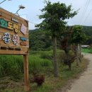 양창근농장 이미지