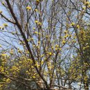 ㈜제니엘 여수노동조합 | 일터혁신 컨설팅을 통해 노사가 함께 일하기 편하고 안전한 일터 만들기