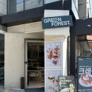 게코포레스트 | 청계산입구역 크레스티드게코 분양 가능한 카페 그린포레스트 솔직후기