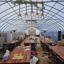 삼포초등학교(병설) 이미지