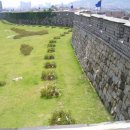 이영춘「풀잎」 이미지