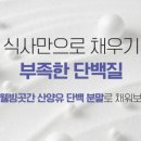연세안웰빙