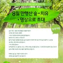 치유, 명상의 숲 이미지