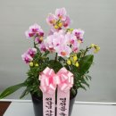 삽량초등학교 병설유치원 이미지