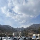 스타벅스 더북한강R점 애견동반으로 다녀온 후기 및 베어리스타 스탬프 증정!