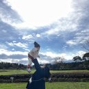 강림목장 이미지