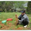 가화만사성농장 이미지