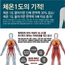 1도의 기적 이미지