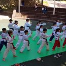 공감태권도 이미지