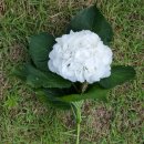 송이와다발 - 남동구 석산로 3 | 송이와다발