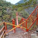 강천산군립공원(현수교) 이미지