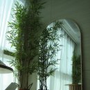 광복지하도상가 | Review_#2 빈티지 디카 아이유 디카 캐논 익시55 익서스 50 Canon IXY55 IXUS50 후기(+ 작례)