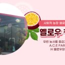 분향초등학교 이미지