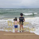 대진해수욕장 야영장 이미지