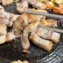 원동흑돼지 이미지