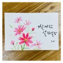 붓펜&수채캘리그라피 이미지