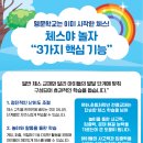 체스야 놀자 이미지