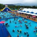 낙동강변19 이미지