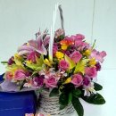 모태안여성병원 이미지