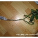 비학농장 이미지