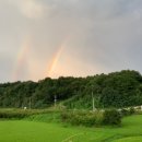 봉동참비지 이미지