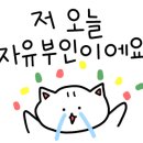 리셋헤어 이미지