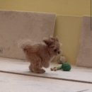 GS25 판교운중점 | 나의 comfort zones (2025) &amp; 운중화실 정규수업 후기