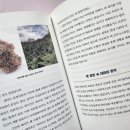 갓프렌즈