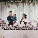 부산 파라다이스 호텔 돌잔치 돌상 업체 파티해월 솔직 후기(시실리룸,내돈내산)